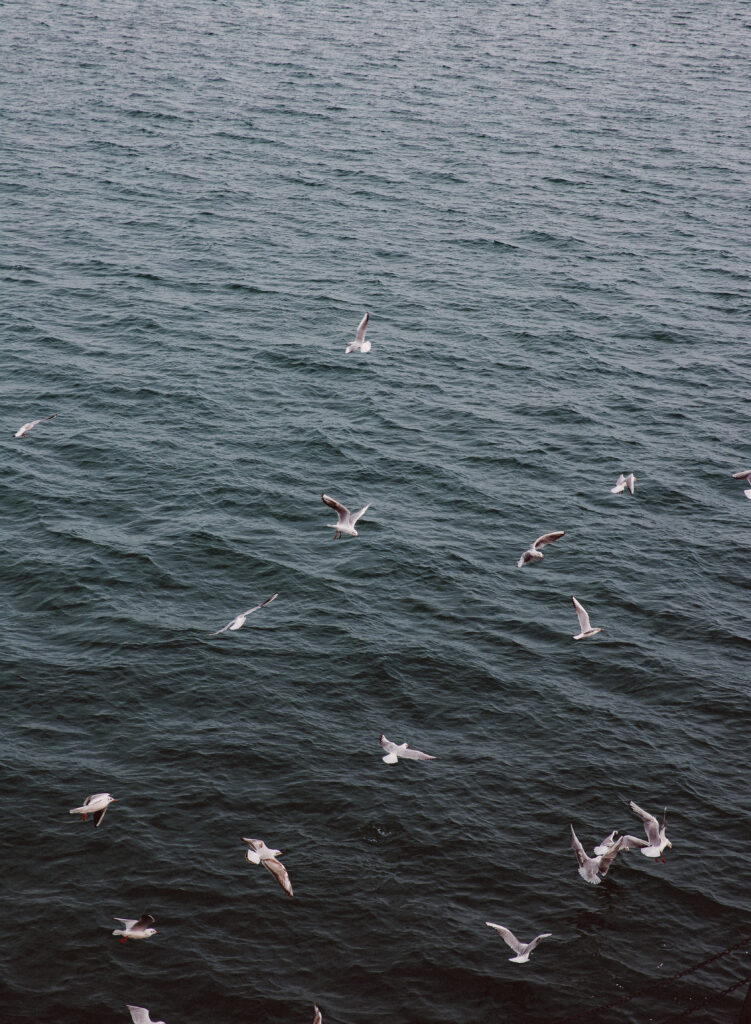 surprise marriage proposals in Greece